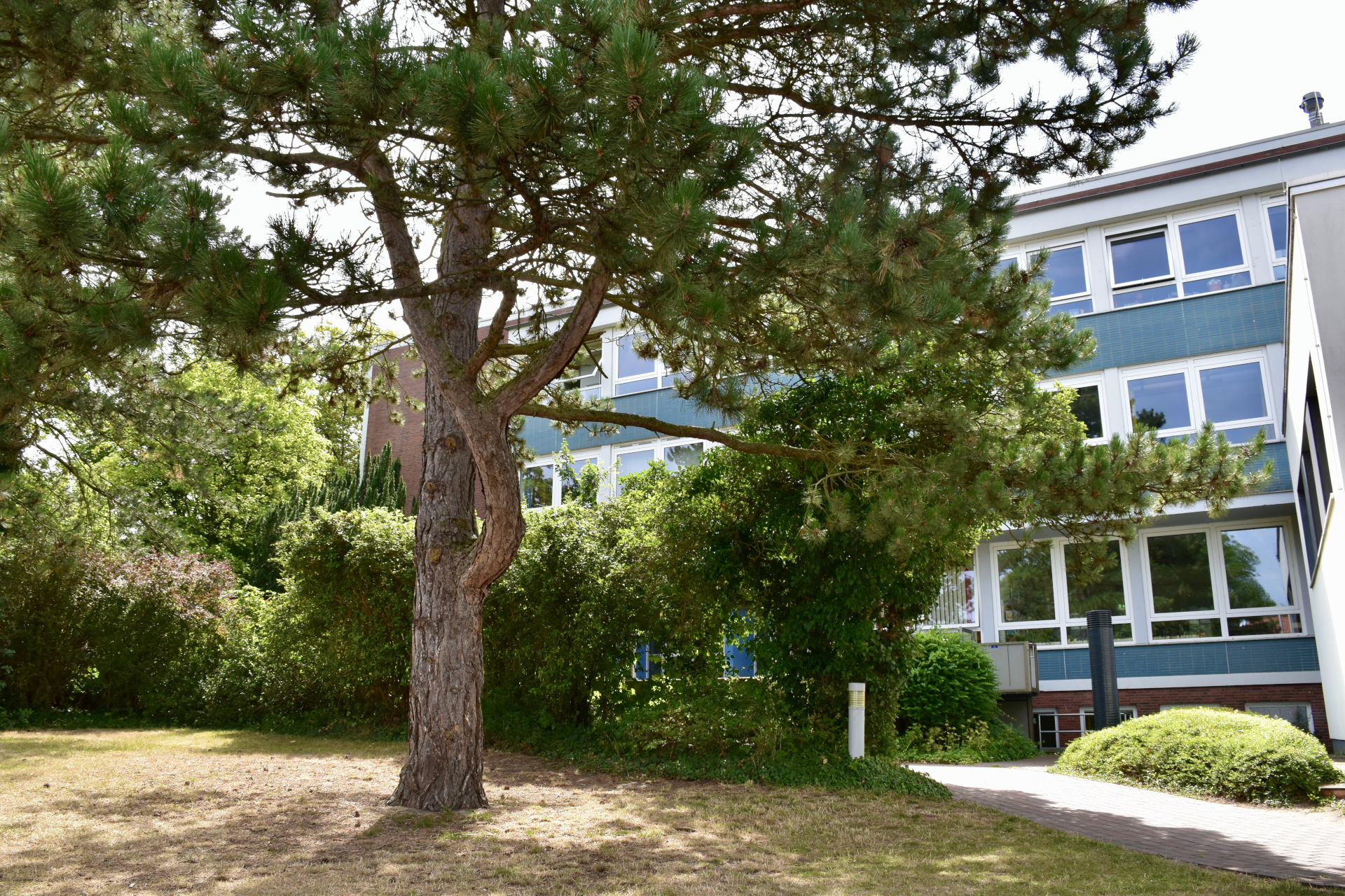 HerzogErnstGymnasium Offizielle Webpräsenz des HerzogErnst