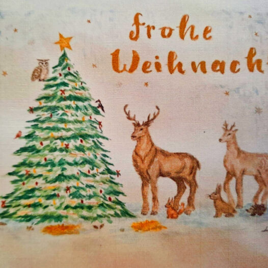 Das HEG wünscht allen frohe Weihnachten und einen guten Rutsch ins neue Jahr!