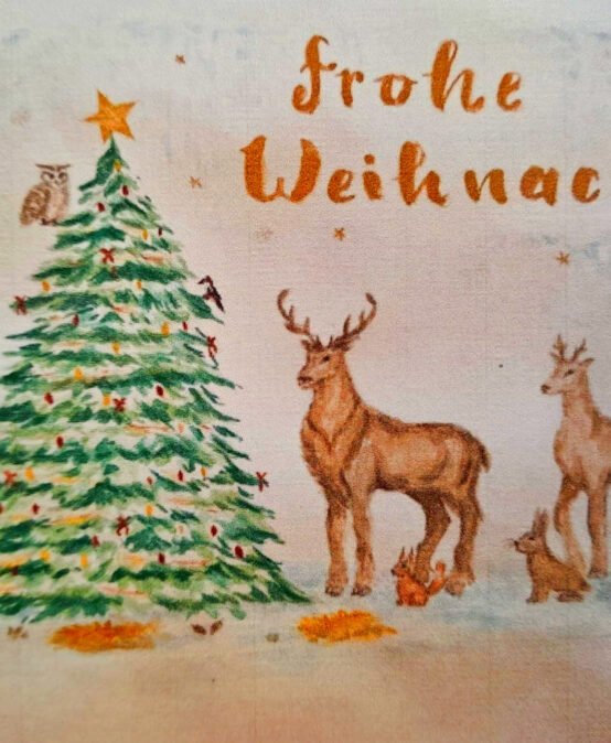 Das HEG wünscht allen frohe Weihnachten und einen guten Rutsch ins neue Jahr!