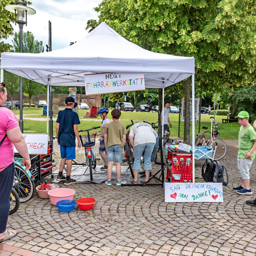HEG bekommt Bronze-Preis beim Stadtradeln
